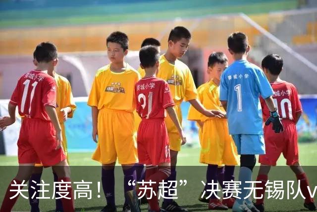 关注度高！“苏超”决赛无锡队vs常州队，共62356人现场观战