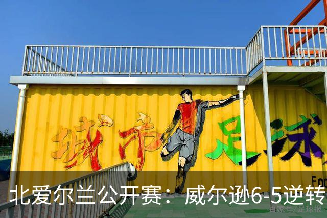 北爱尔兰公开赛：威尔逊6-5逆转绝杀克雷吉，囧哥赛季首进排名赛决赛