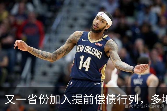 又一省份加入提前偿债行列，多地算起了“省息账”