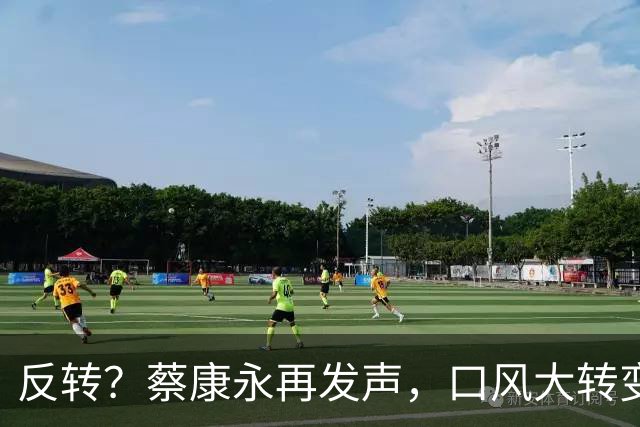 反转？蔡康永再发声，口风大转变，只可惜，国台办的评价字字扎心