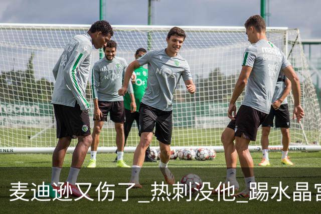 麦迪逊又伤了 热刺没他 踢水晶宫也很难
